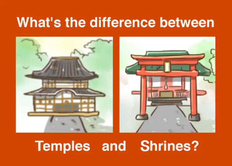 Temples vs Shrines Which to Visit in Japan